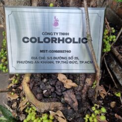 BẢNG HIỆU INOX TRẮNG MẪU 06