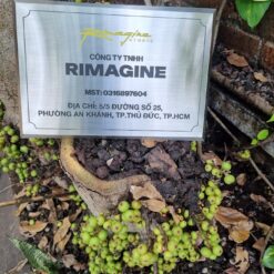 BẢNG HIỆU INOX TRẮNG MẪU 07